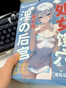 被基友安利了GO朕的后宫蔡文姬，用了一周，我裂开了-绅士神器社