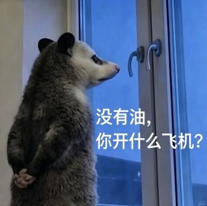 2026年飞机杯推荐,新手如何选杯()!-绅士神器社