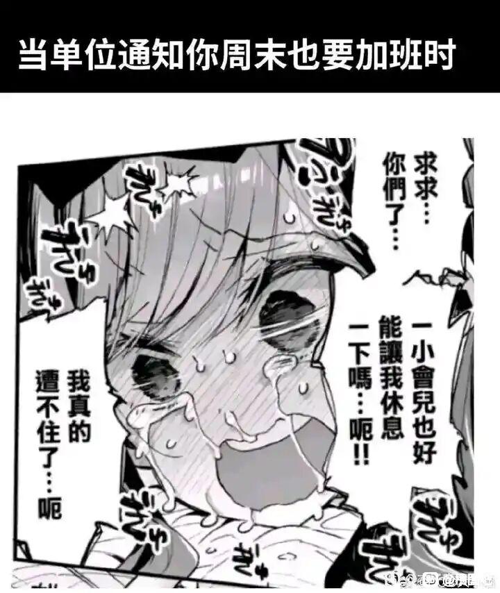 2026年飞机杯推荐,新手如何选杯()!1 bb2366cc7cd98d1080216330673fb80e7aec903d