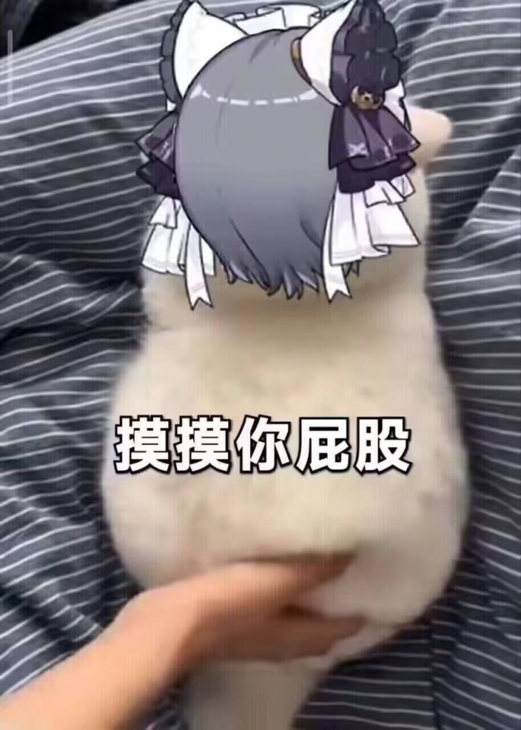 2026年飞机杯推荐评测,含个人主观观点,真实感受 1280X1280 (3)