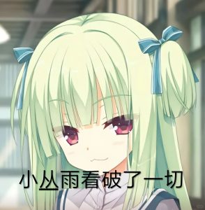 浅浅谈一下飞机杯、名器、倒模三者的区别-绅士神器社