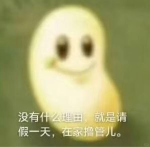 “慢玩”飞机杯推荐，如果你在找“慢玩”，这篇就是为你准备的-绅士神器社
