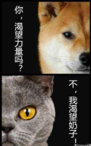“丰满小姐姐奇遇记~”—丰满小姐评测11 “丰满小姐姐奇遇记~”—丰满小姐评测11