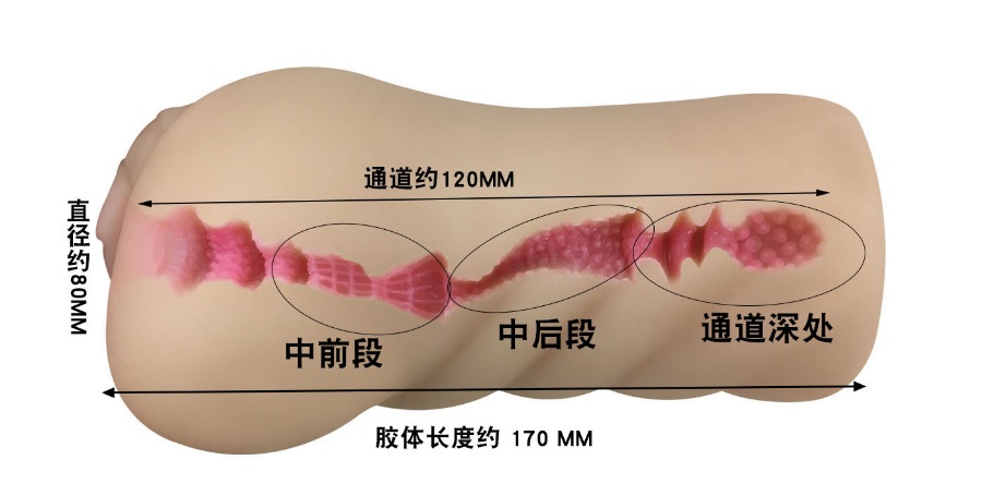 日本A-ONE 生素体本格飞机杯名器测评[db:副标题]4