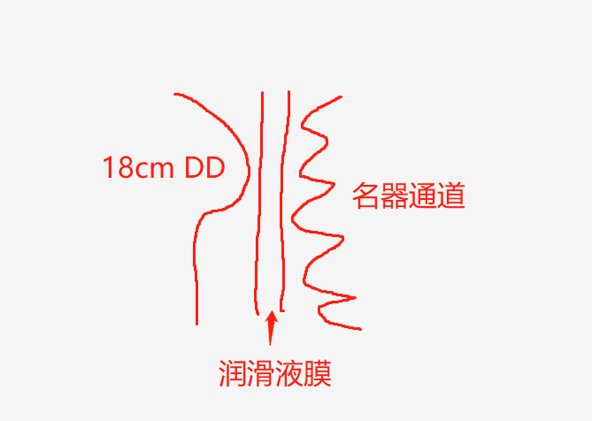 你真的会用润滑液吗？ | 3元到100元，5款润滑油测评大揭秘1