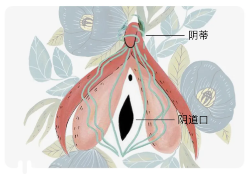 小银棒口红好用吗？小银棒口红真实测评来了14